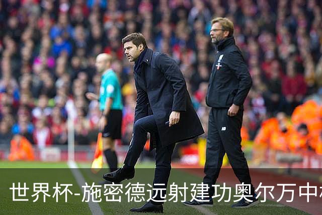 世界杯-施密德远射建功奥尔万中框 半场奥地利1-0约旦