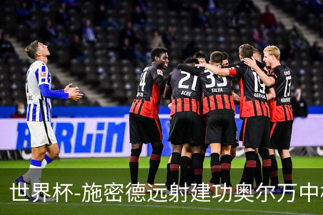 世界杯-施密德远射建功奥尔万中框 半场奥地利1-0约旦